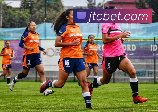 金钛城娱乐城官网发展历程